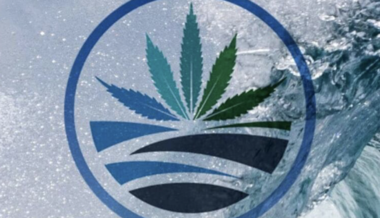 High Tide Logo